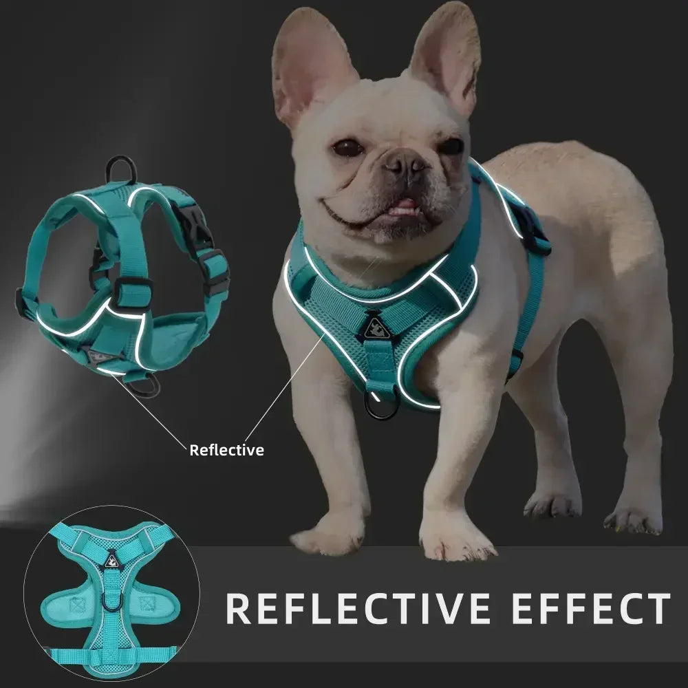 No-Pull Reflective Harness & Leash Set – Adjustable Mesh Vest for Small Dogs