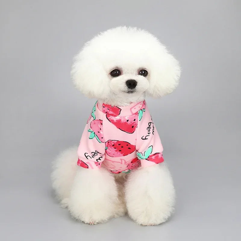 Winter Hoodie for Small Dogs – Warm Pullover Sweatshirt for Puppies and Small Dogs