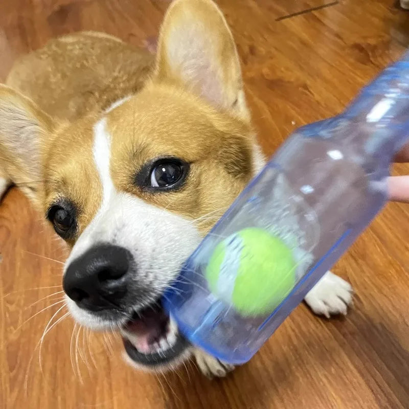 TPR Beer Bottle Dog Chew Toy with Tennis Ball – Squeaky & Bite-Resistant