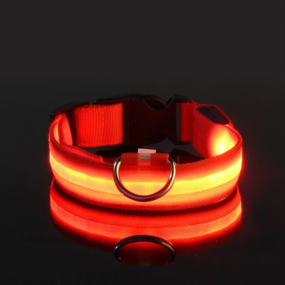 Dog Collar Nylon LED Night Safety Flashing Glow In The Dark Pet Dog Collar