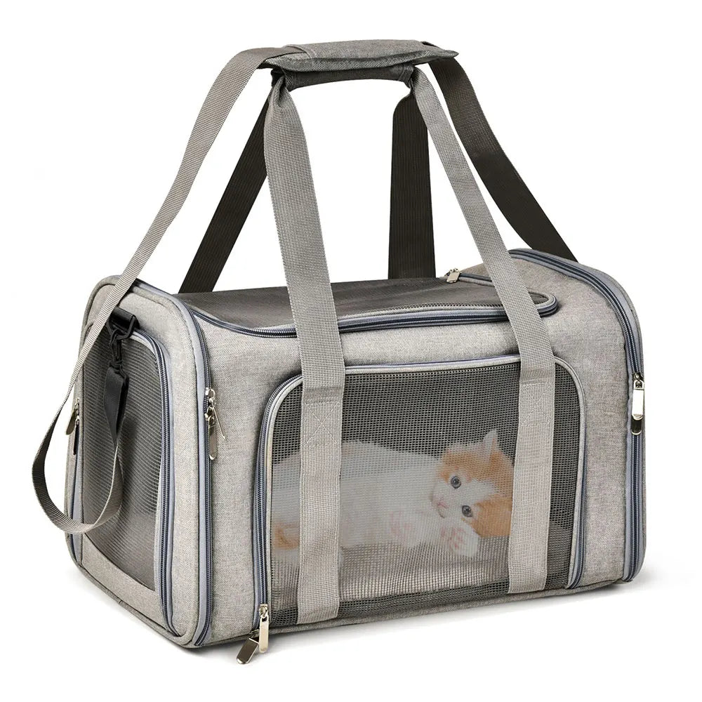Airline-Approved Soft-Sided Pet Carrier Backpack for Small Dogs & Cats