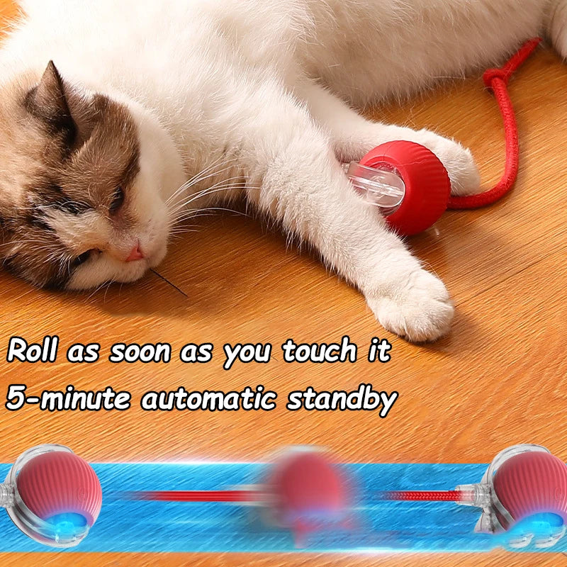 Rolling Cat Ball Faux Tail Rechargeable Smart Pet Electric Toy