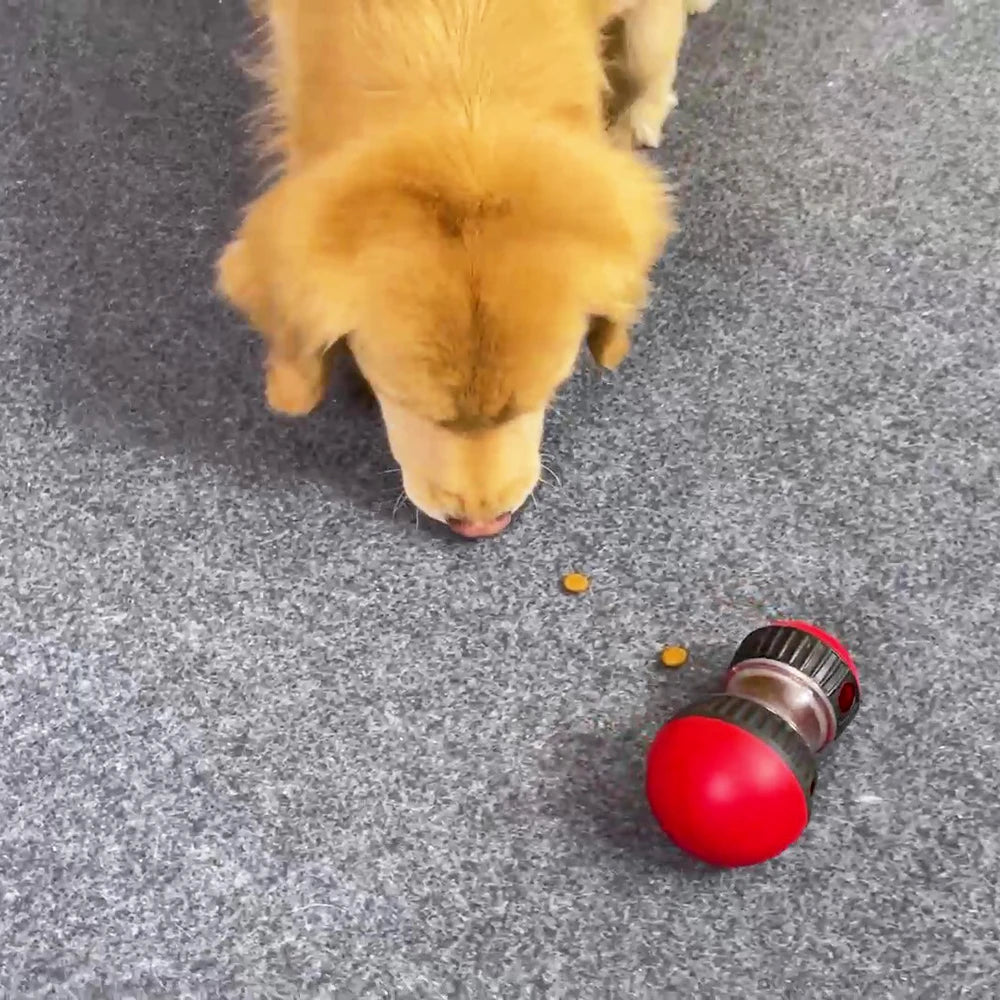 Dog Toy For Small, Medium or Large Dogs Slow Feeder Pet Improve IQ Indoor Training