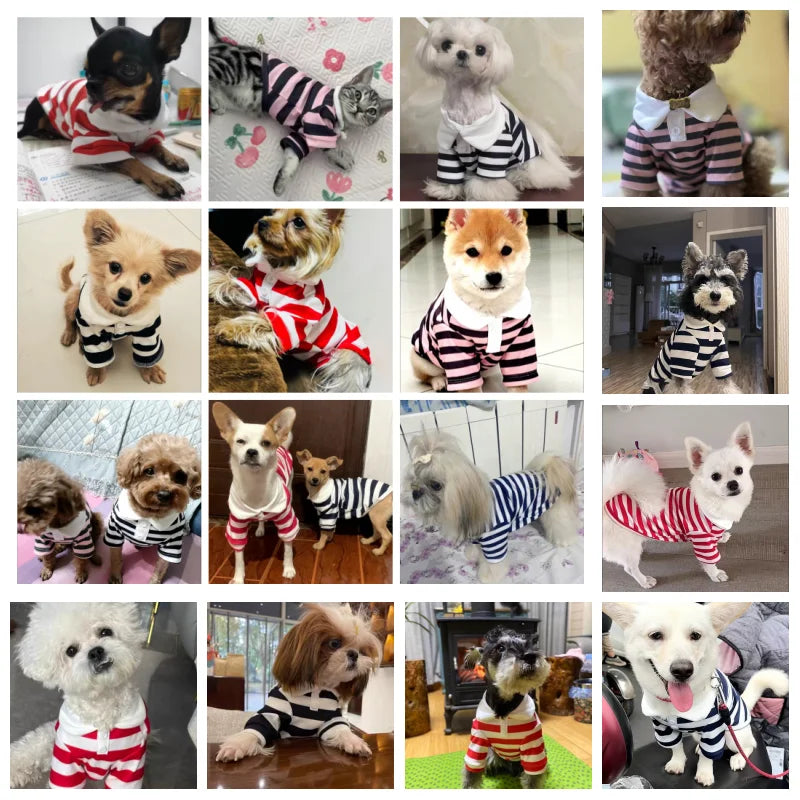 Striped Summer Polo Shirt for Small & Medium Dogs – Lightweight Cooling Vest