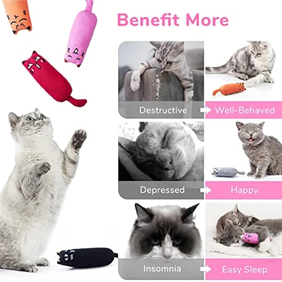 Catnip Plush Toy – Crinkle Sound Pillow for Kittens & Teething