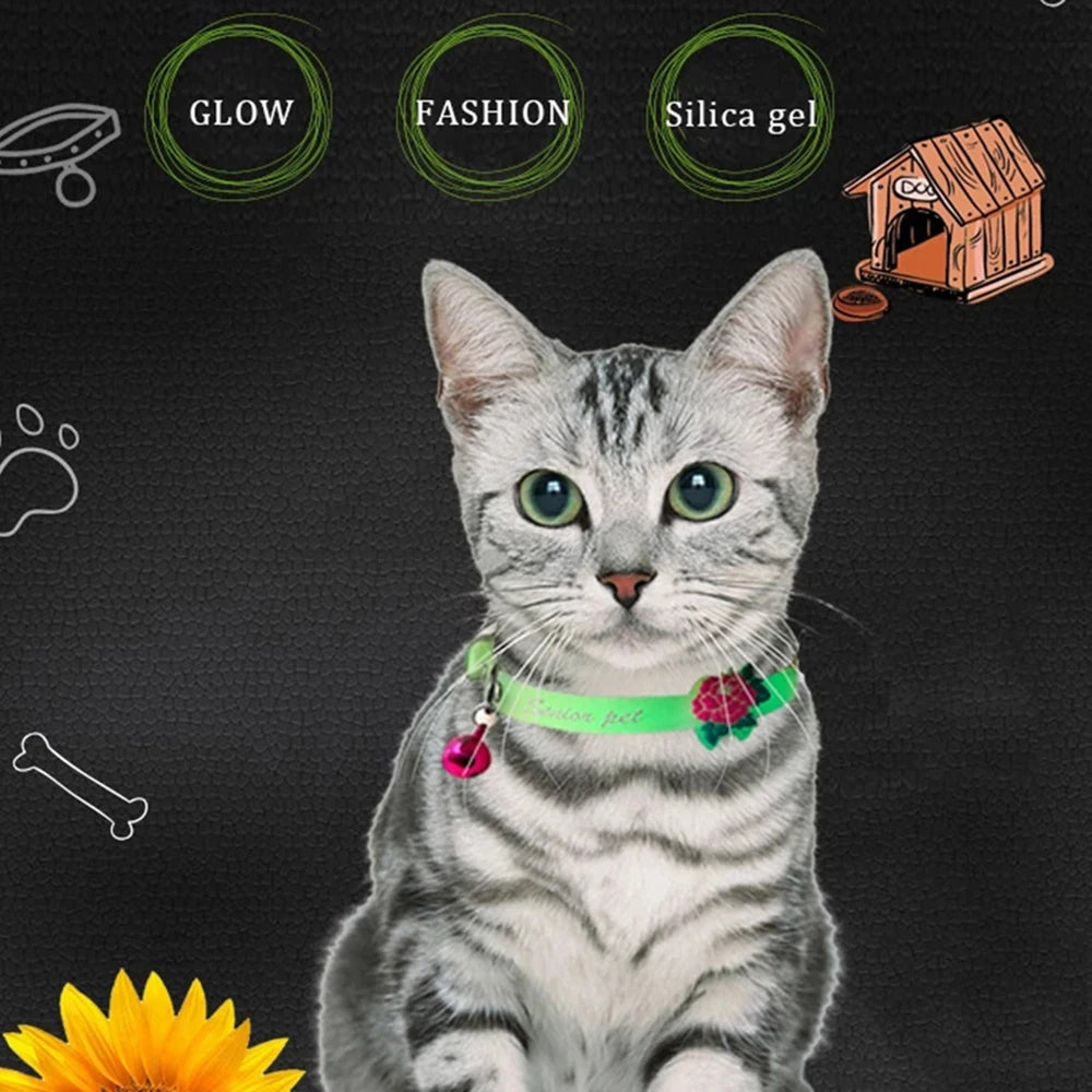 Luminous Silicone Cat Collar with Bell – Anti-Loss & Glow-in-the-Dark