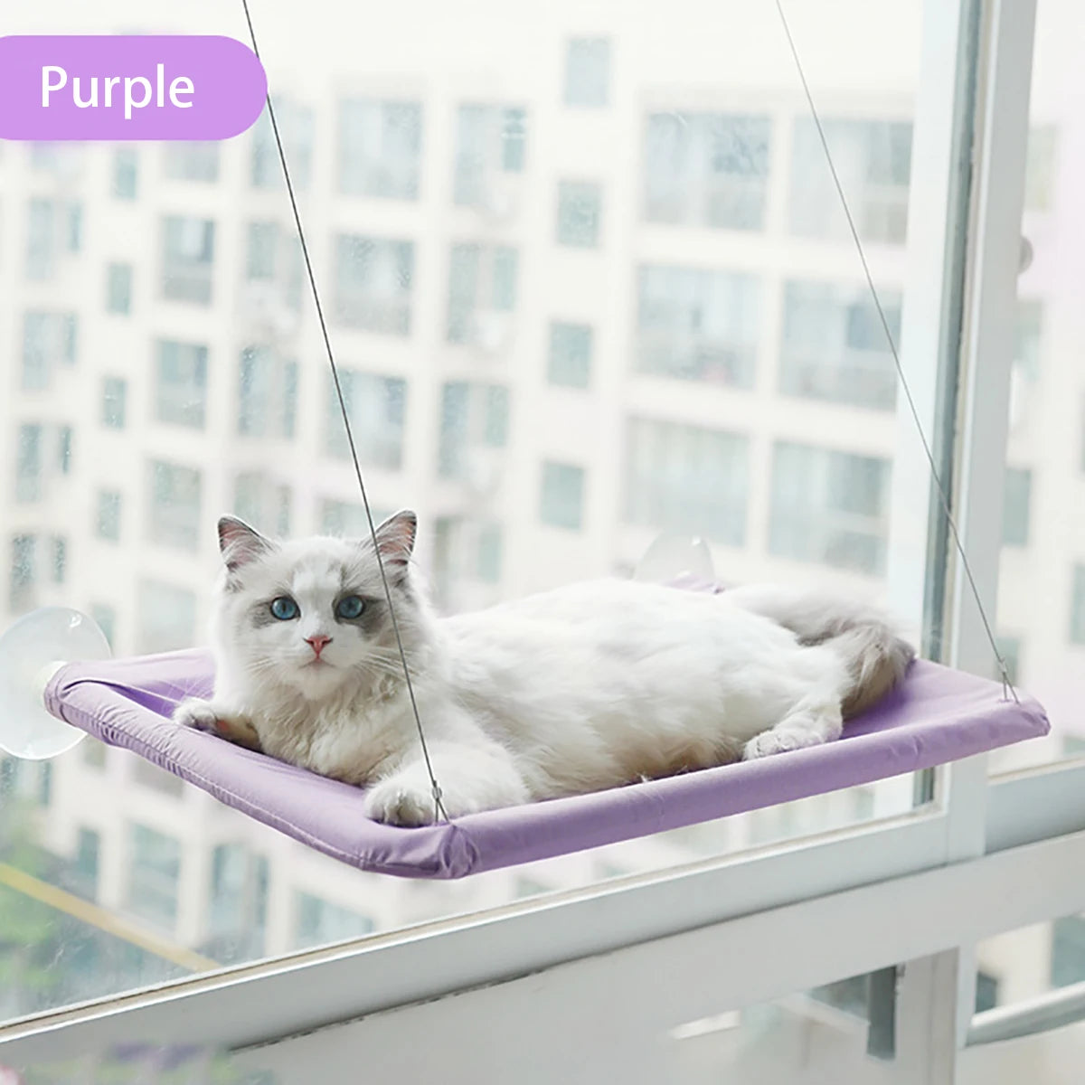 20KG Capacity Cat Hammock – Comfortable Window-Mounted Bed
