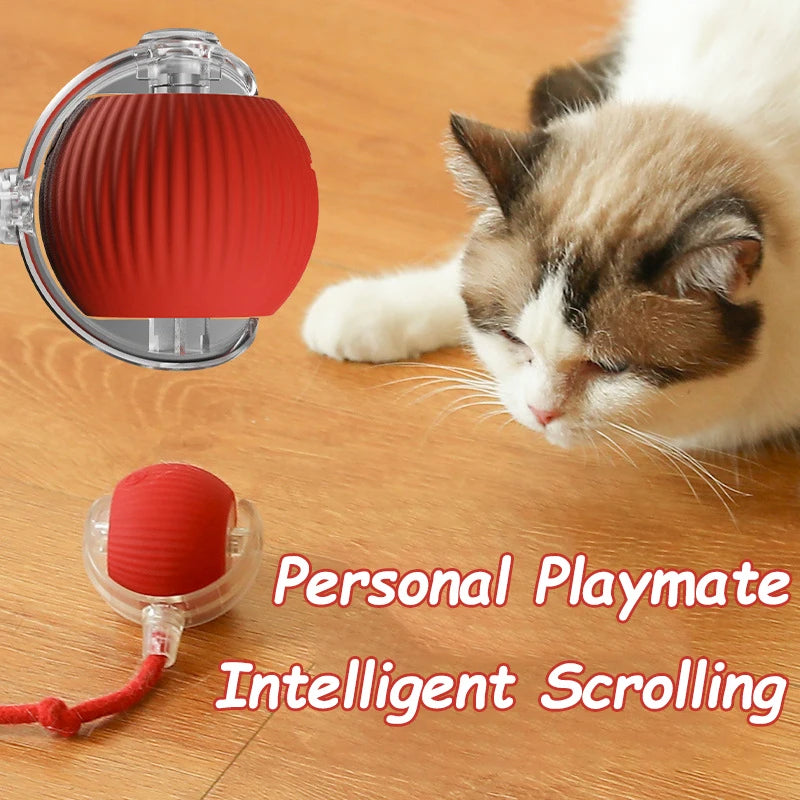 Rolling Cat Ball Faux Tail Rechargeable Smart Pet Electric Toy
