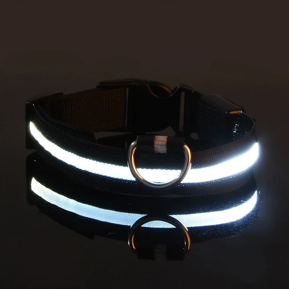 Dog Collar Nylon LED Night Safety Flashing Glow In The Dark Pet Dog Collar