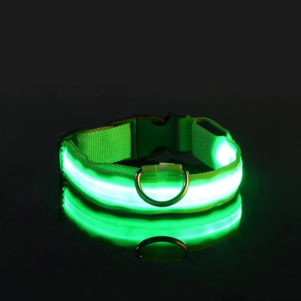 Dog Collar Nylon LED Night Safety Flashing Glow In The Dark Pet Dog Collar