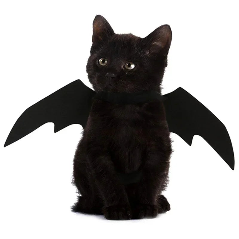 1Pc Halloween Pet Costume – Black Bat Wings Harness for Cats & Dogs