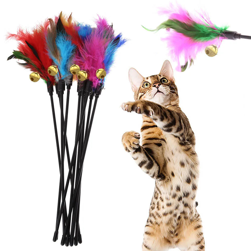 5-Piece Cat Wand Set – Colorful Feather Toys with Bells