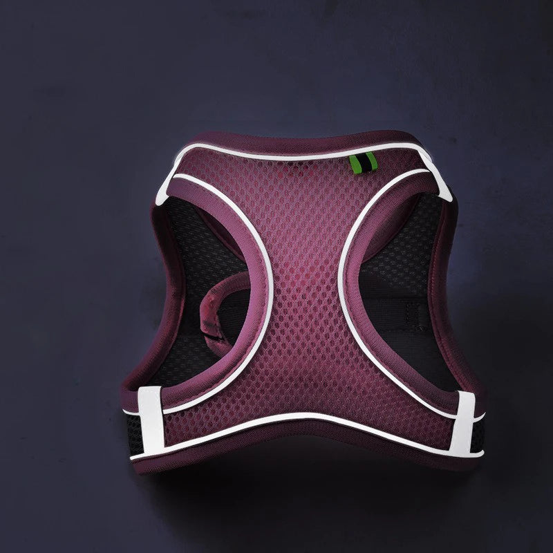 Reflective Adjustable Dog Harness Set – Breathable Vest for Small & Medium Dogs