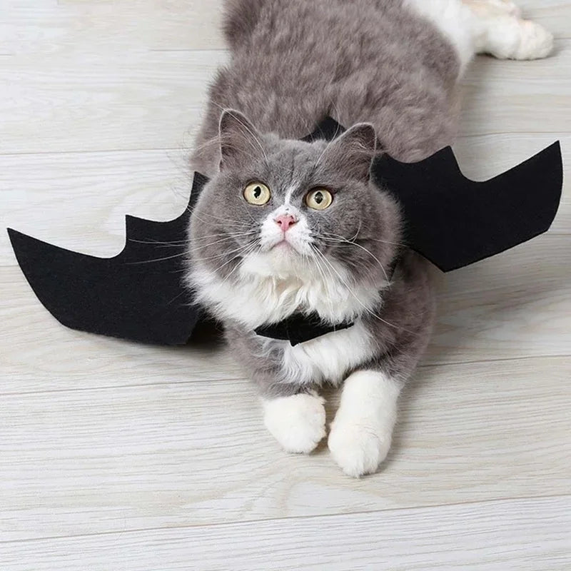 1Pc Halloween Pet Costume – Black Bat Wings Harness for Cats & Dogs