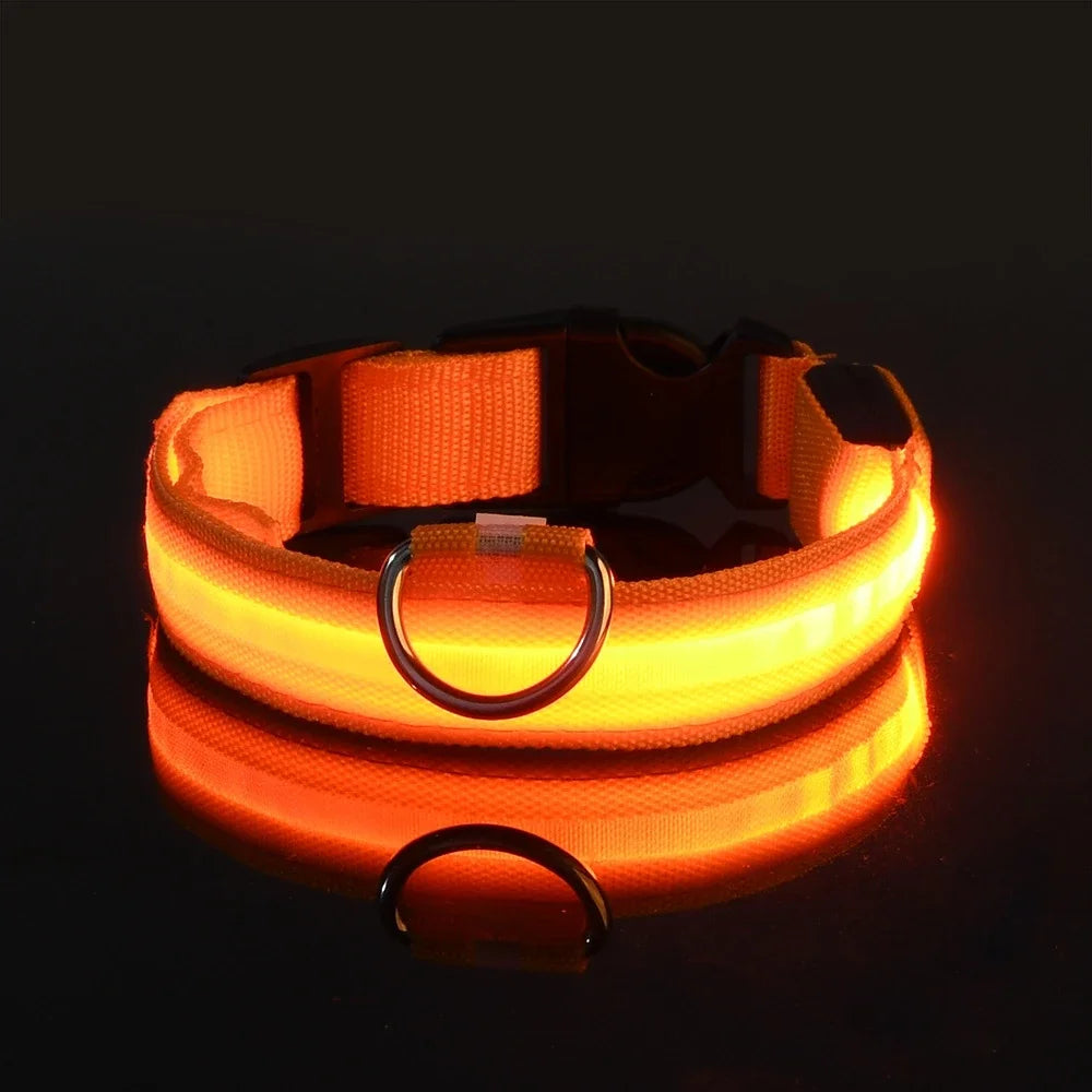 Dog Collar Nylon LED Night Safety Flashing Glow In The Dark Pet Dog Collar