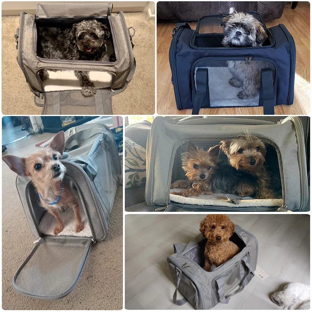 Airline-Approved Soft-Sided Pet Carrier Backpack for Small Dogs & Cats