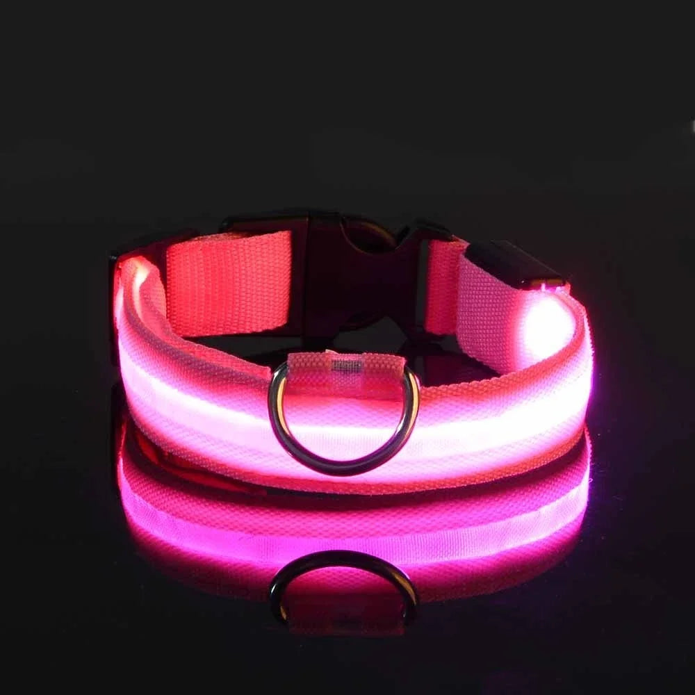 Dog Collar Nylon LED Night Safety Flashing Glow In The Dark Pet Dog Collar