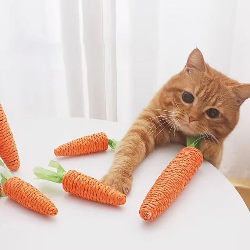 Sound Carrot Cat Toy – Teething & Anti-Bite Cuddle Stick with Scratch Surface