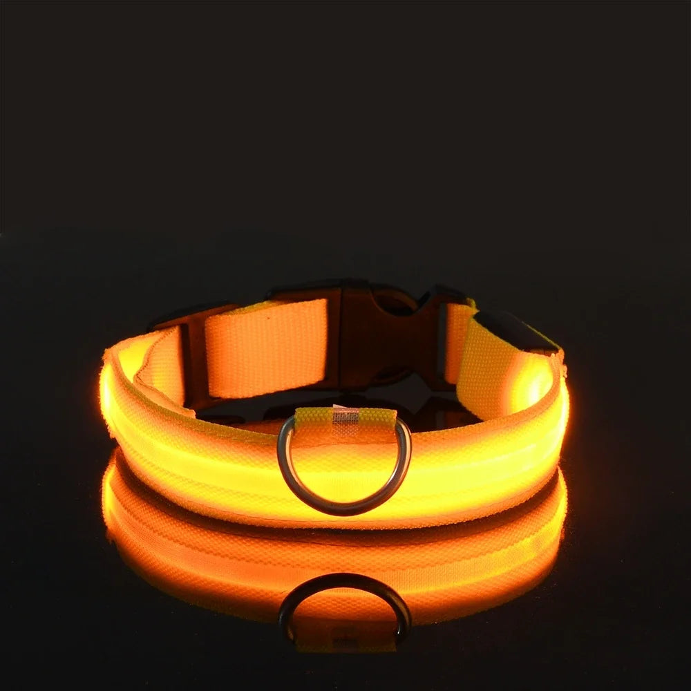 Dog Collar Nylon LED Night Safety Flashing Glow In The Dark Pet Dog Collar