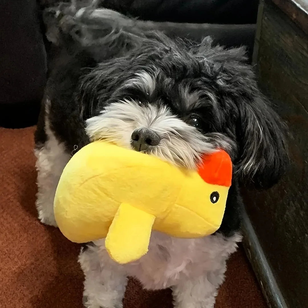 7-piece plush puppy toy set featuring chewable fruit and vegetable designs, perfect for playful pups
