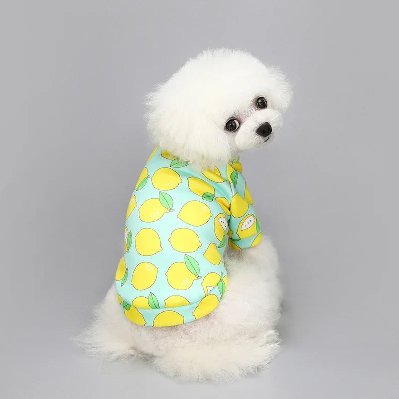 Winter Hoodie for Small Dogs – Warm Pullover Sweatshirt for Puppies and Small Dogs
