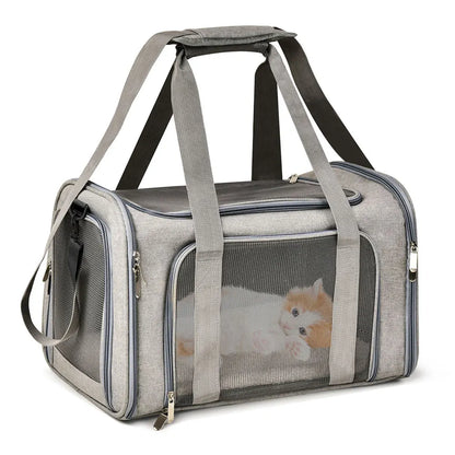 Airline-Approved Soft-Sided Pet Carrier Backpack for Small Dogs & Cats