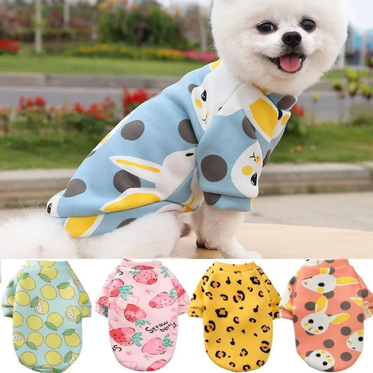 Winter Hoodie for Small Dogs – Warm Pullover Sweatshirt for Puppies and Small Dogs