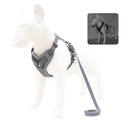 No-Pull Reflective Harness & Leash Set – Adjustable Mesh Vest for Small Dogs