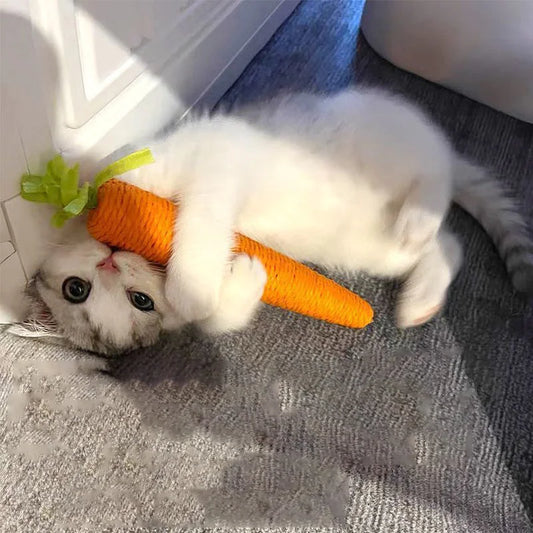 Sound Carrot Cat Toy – Teething & Anti-Bite Cuddle Stick with Scratch Surface