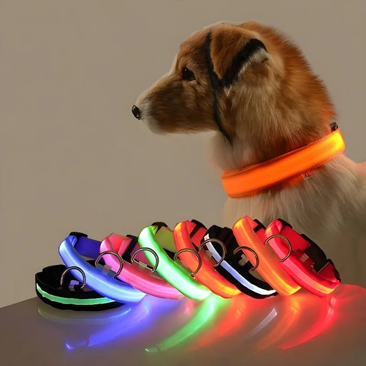 Dog Collar Nylon LED Night Safety Flashing Glow In The Dark Pet Dog Collar