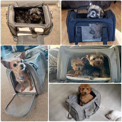 Airline-Approved Soft-Sided Pet Carrier Backpack for Small Dogs & Cats